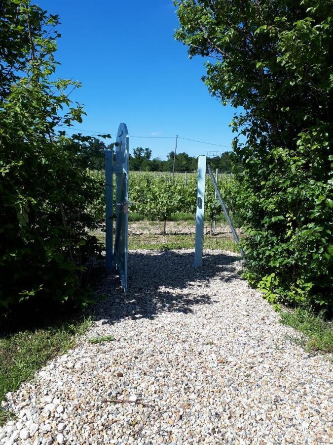 Вілла La Roulotte De Glorit Bourg-sur-Gironde Екстер'єр фото